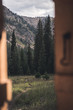 Close up on a cabin door looking out into a forest in Colorado. 