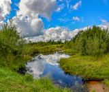 Fototapeta Na ścianę - Landscape with swamp.