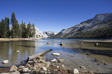 Wall Mural - Tenaya Lake Upper Yosemite Valley