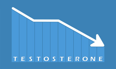 Wall Mural - Testosterone - decreasing graph