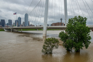 dallas trinity flood