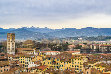 Wall Mural - Aerial View Historic Center of Lucca, Italy