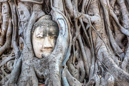 Fotomural Ayutthaya Head of Buddha statue