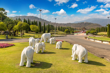 Royal Ratchaphruek Park in Chiang Mai