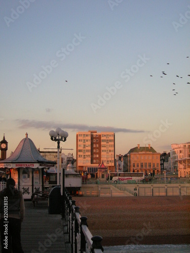 Brighton Palace Pier © Freddie Fehmi Mehmet