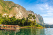 © Sergii Figurnyi - Khao Sok National Park