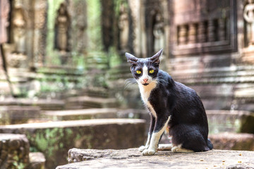 Wall Mural - Ta Som temple in Angkor Wat