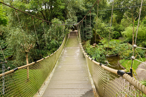 Fototapeta most linowy  most-linowy-miedzy-drzewami