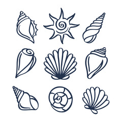 Wall Mural - hand drawn sea shells set. vector illustration.