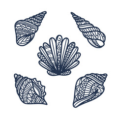 Wall Mural - hand drawn sea shells set. vector illustration.