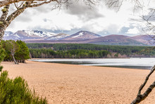 Sandy Beach And Beautiful Mountains Around Loch Morlich In The Highlands Of Scotland