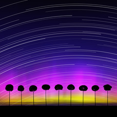 Sticker - Landscape with trees at night. Vector illustration with isolated silhouettes of maples in grass. Rotation of stars. Northern lights in starry sky. Colorful aurora borealis.