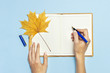 Female hands write in the Open blank notebook with a yellow autumn maple leaf on blue background top view flat lay. Autumn concept, study, working table, workspace mockup.