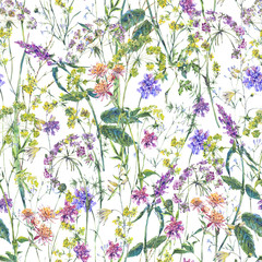 Leinwandbilder - Watercolor summer wildflowers seamless pattern