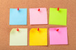 © fotofabrika - The cork board with blank notes