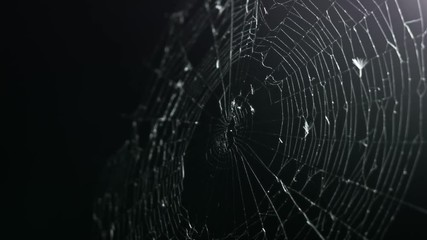 stark contrast illuminates this spooky spider web as it wavers in the breeze.