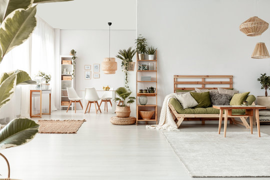 Wooden table in front of green couch in spacious living room interior with plants and lamps. Real photo