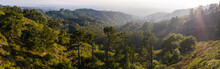 Aerial Panorama Of Oakland Hills In Northern California
