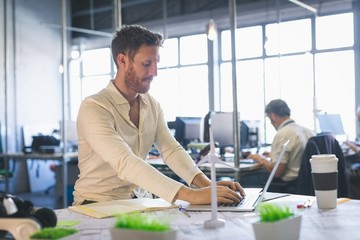 Male executive using laptop at desk
