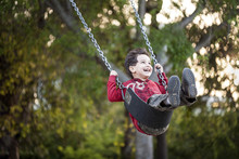 Happy Boy On Swing