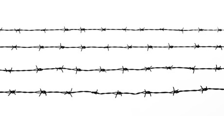 silhouette of the barbed wire on white background