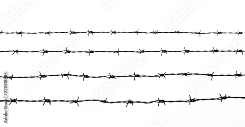 Fotomural silhouette of the barbed wire on white background