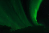 Fototapeta Sawanna - norwegian aurora borealis with mountains and water, view from hurtigruten ship boat, norway, europe, green northern lights