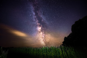 Wall Mural - Milky way stacked with forrest an field, real colors, made in austrian upperaustria at night, stars and galaxies on the sky