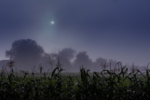 Moonlit Night In The Countryside. Night Landscape With The Moon In The Sky_