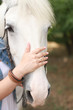 © dyageleva - White horse