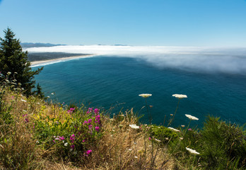 Wall Mural - Panoramic view near Cape Meares of ocean and fog bank along the Oregon coast