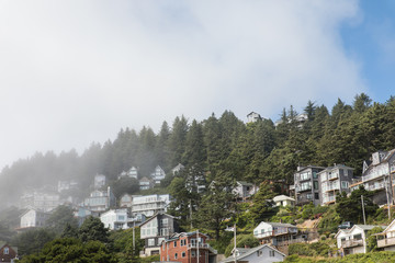 Wall Mural - Oceanside Oregon on a foggy day