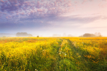 Poster - Autumn landscape. Fall nature.