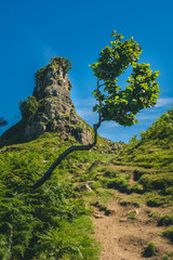 Wall Mural - Hike to Fairy Glen, Isle of Skye