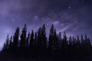 Wall Mural - milky way