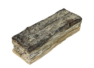 isolated piece of wood decayed by fungus