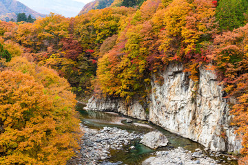 Poster - Kinugawa in autumn season