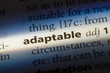 © Casimiro - adaptable