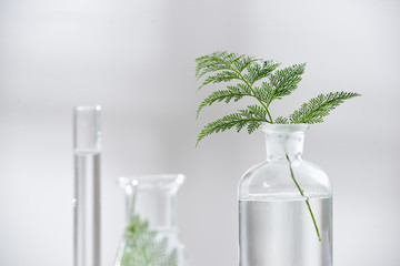Wall Mural - cosmetic nature skincare and essential oil aromatherapy .organic natural science beauty product .her