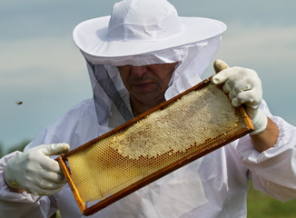 Apiarist is working.