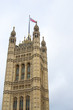 Dettaglio della Casa del Parlamento di Londra, Regno Unito