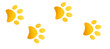 cat animal footstep on white  background