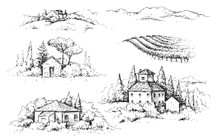 Rural Scene With Houses, Vineyard  And Trees Sketch