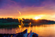 bonfire by the river at sunset
