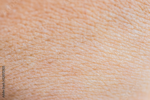 up human skin texture macro stock photo 293974619 human skin texture up macro background copy space medicine buy this stock photo and up human skin texture macro stock photo 293974619 human skin texture up macro background copy space medicine buy this stock photo and