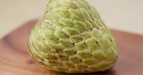 Poster - Custard Apple in rotation