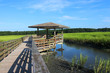 Huntington Beach State Park, South Carolina, USA.Scenic view from the wooden boardwalk on the expansive salt marsh during sunny morning. South Carolin nature background. Litchfield, Myrtle Beach area.
