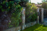 Fototapeta Na ścianę - Betonowe ogrodzenie domu z ozdobną zielenią
