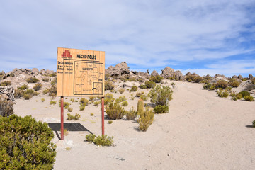 Ancient human remains buried in traditional Chullpas at the Necropolis of San Juan