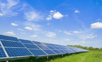 Canvas Print - solar plant